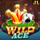 Wild Ace g1011 apk